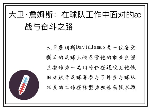 大卫·詹姆斯：在球队工作中面对的挑战与奋斗之路