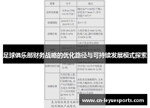 足球俱乐部财务战略的优化路径与可持续发展模式探索