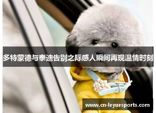 多特蒙德与泰迪告别之际感人瞬间再现温情时刻
