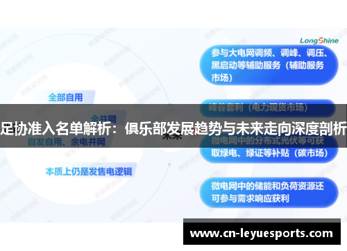 足协准入名单解析：俱乐部发展趋势与未来走向深度剖析