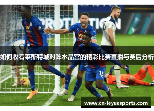 如何收看莱斯特城对阵水晶宫的精彩比赛直播与赛后分析