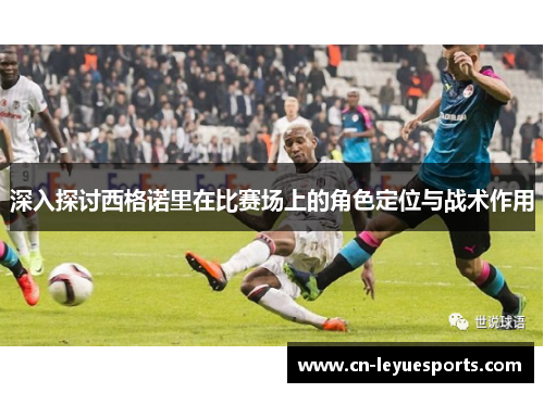 深入探讨西格诺里在比赛场上的角色定位与战术作用