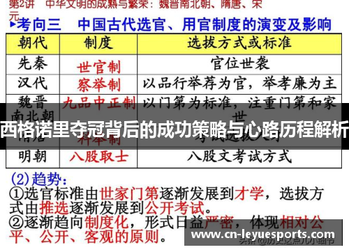 西格诺里夺冠背后的成功策略与心路历程解析